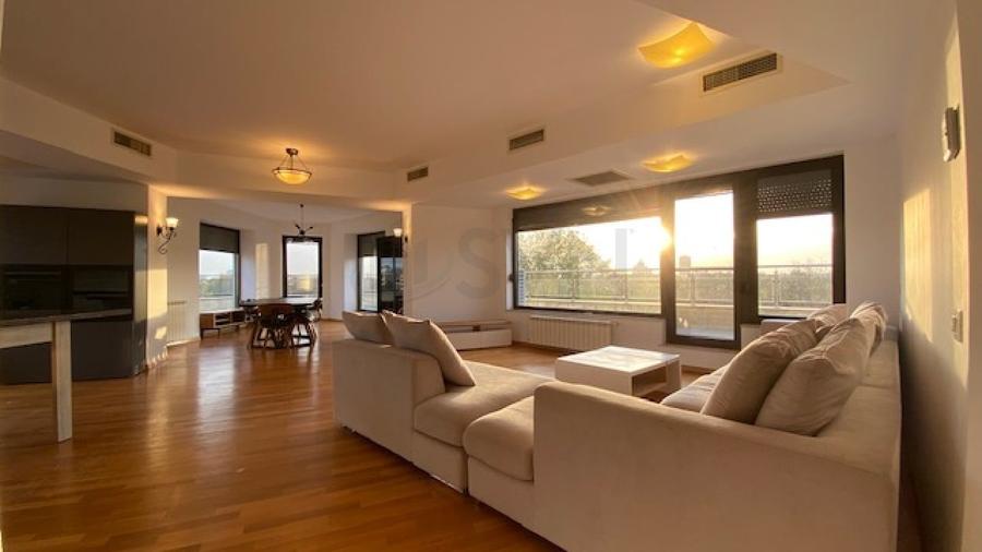 REA1008147 Penthouse 5 camere superb-vedere directa Herastrau - 3