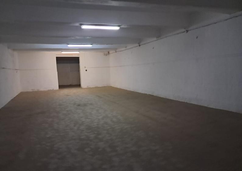 Spatiu sup.500 mp depozitare/productie Calea Baciului - 6