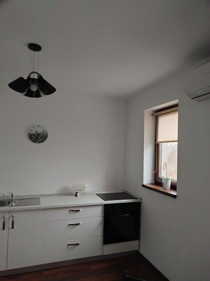 Apartament cu o camera Ultra Central - 2