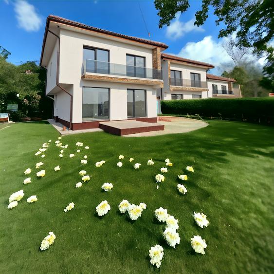 Proprietar - Single 4 camere, 300 mp, bucatarie inchisa cu debara - 3