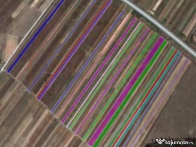 Teren Autostrada A1 24ha pentru balastiera - 1