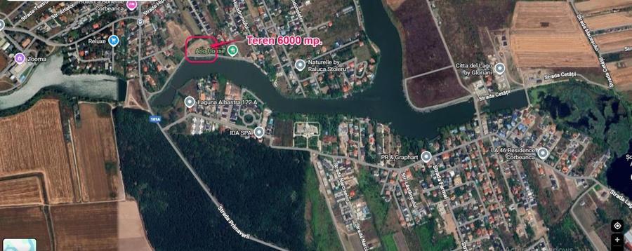 Teren intravilan langa lac padure locatie superba Corbeanca - 3