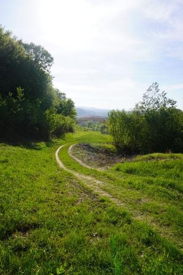 Teren 33,137mp Sighetu Marmatiei / Strada Mocanitei - 2