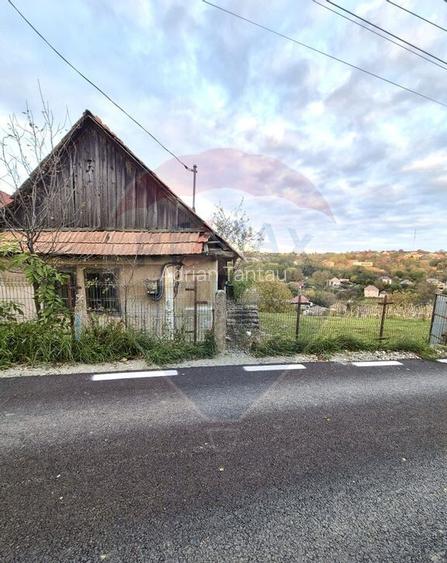 Teren de vanzare in Feleacu! 1000 MP