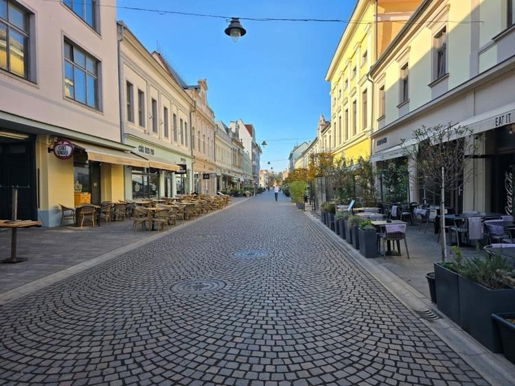 Bijuterie Art Nouveau in inima Oradiei - apartament ultracentral pe Str. Vasile - 4