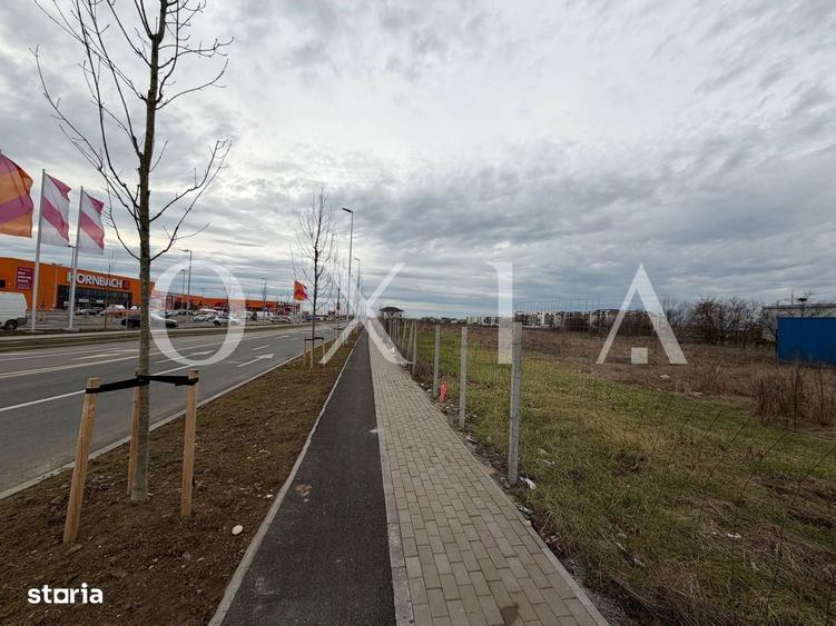 OX698 Oportunitate Investitie , 8036 MP, Buziasului-Hornbach. - 1