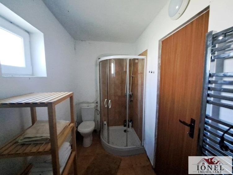 Casa de vanzare in Lunca Muresului - Gura Ariesului - 9