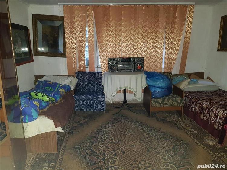 Vand casa de vacan?a Farliug - 10