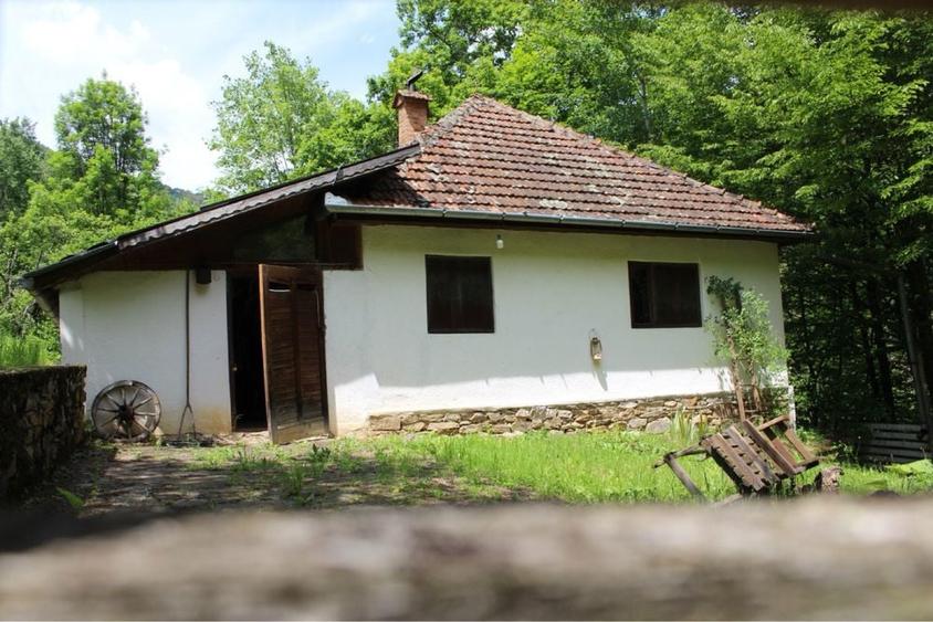 Vand cabana pe Valea Sebesului - 5