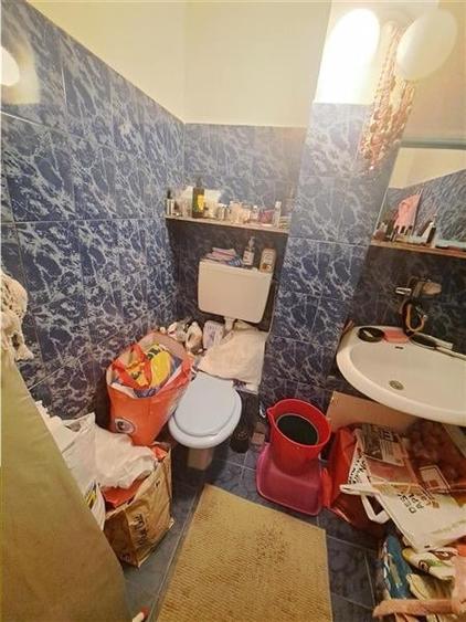 3 CAMERE, DECOMANDAT, GARAJ, MOBILAT SI UTILAT ZONA FABRIC! - 16