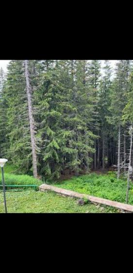 Investitie turistica de top! Fostul hotel OTTO-Perla statiunii RANCA - 4