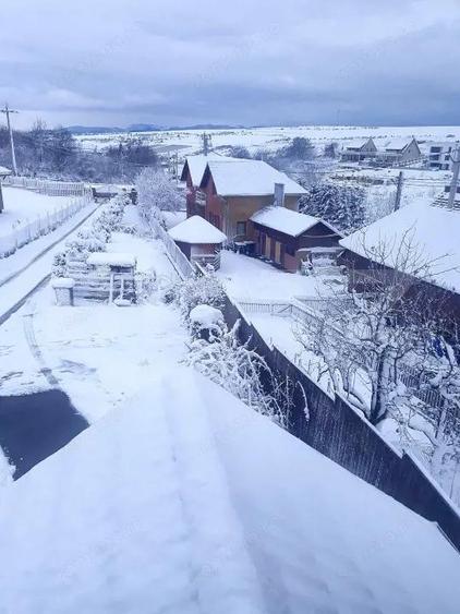 Casa individuala 3 camere, 130 mp, teren 660 mp, Salicea - 9