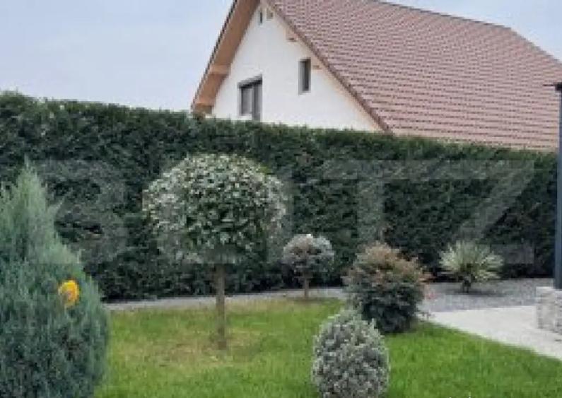 Casa cu 3 camere, 80 mp, curte proprie, Grigorescu - 4