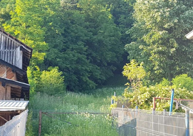 Teren 7000mp Pucioasa - Zona Pitoreasca - 2