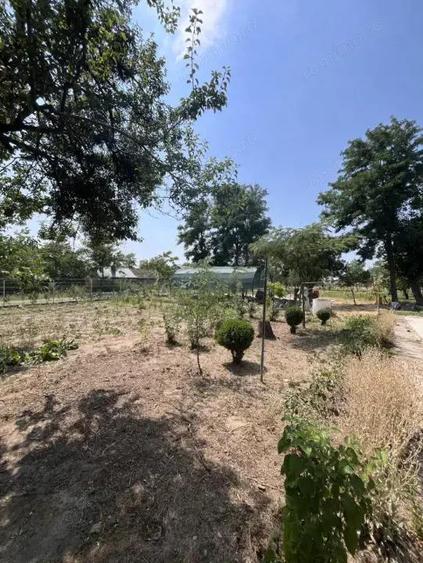 Casa de vacanta - Munteni Buzau - Jutetul Ialomita - Curte 2000mp - 15