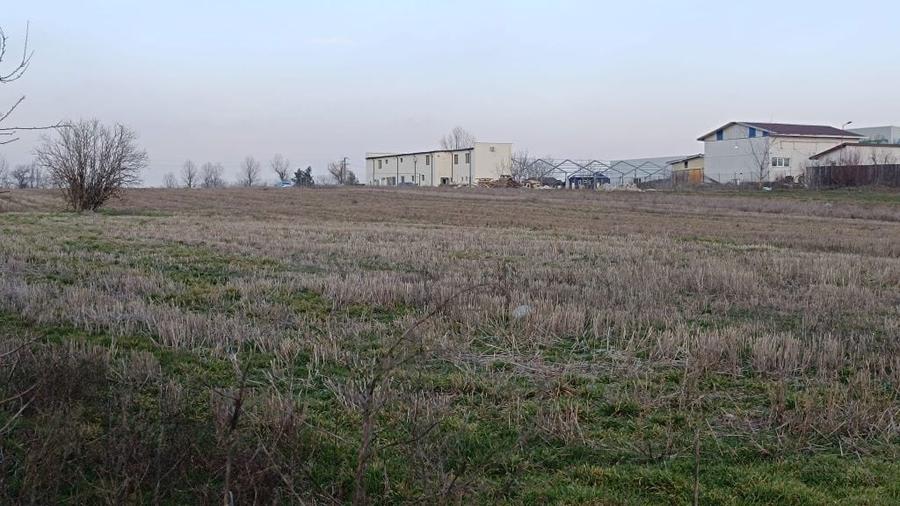 Teren Vidra Berceni Ilfov - 7