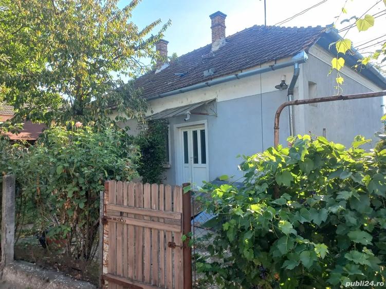 Cas de vanzare in Uileacul de Cri? - 5