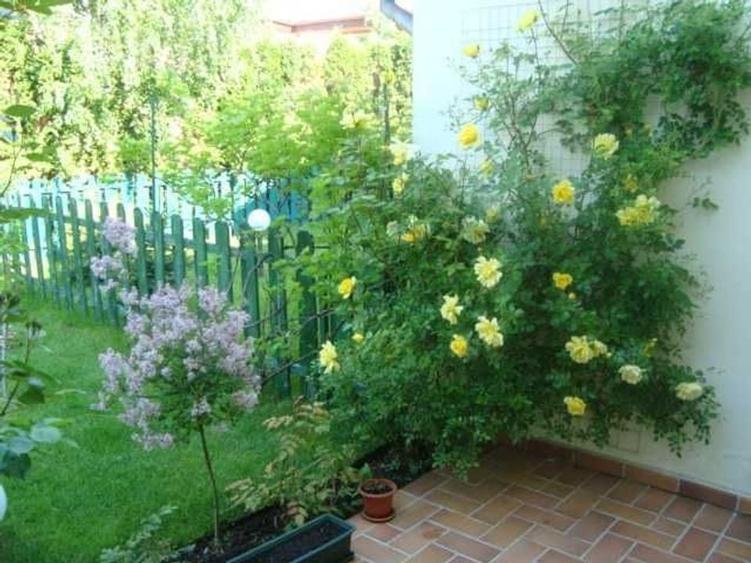 Casă Iancu Nicolae (Tecadra) | 3 camere + birou | curte - 15