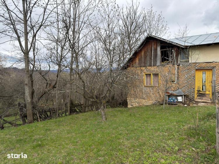 Teren intravilan 1518 mp, constructie, Sotrile, Prahova - 24 EURmp - 9