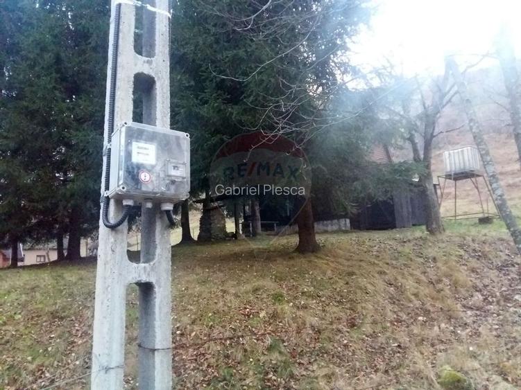 Teren 6700 mp, Apuseni, Pietroasa, Valea Aleului, Bihor, De Vanzare