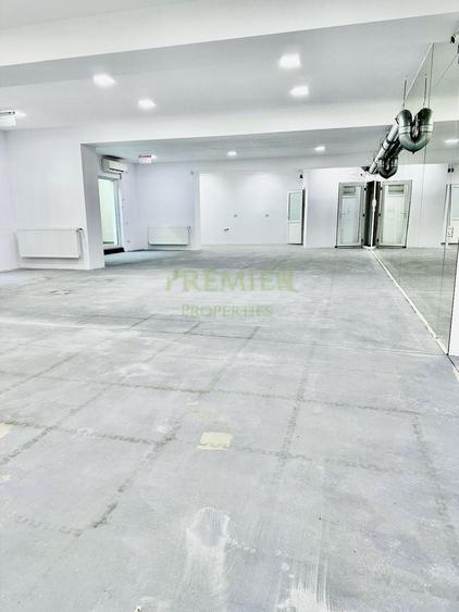 Spațiu comercial – demisol luminos, open space – Sector 1, zona Banu Manta - 4