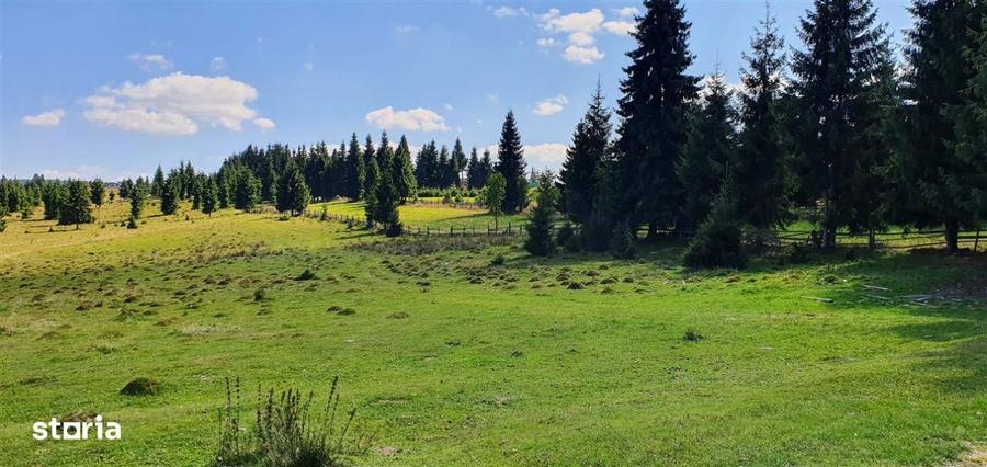 Oportunitare | Teren 1350 mp cu PUZ | Belis - 8