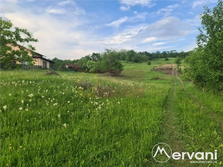 Teren intravilan de vanzare in Campina - Zona Muscel - 2