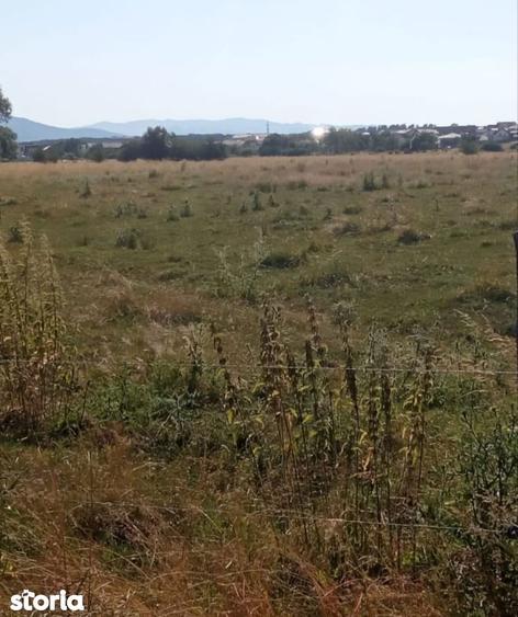 Teren extravilan zona Avantgarden - 3