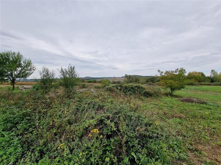 RECO teren intravilan Ineu - 5