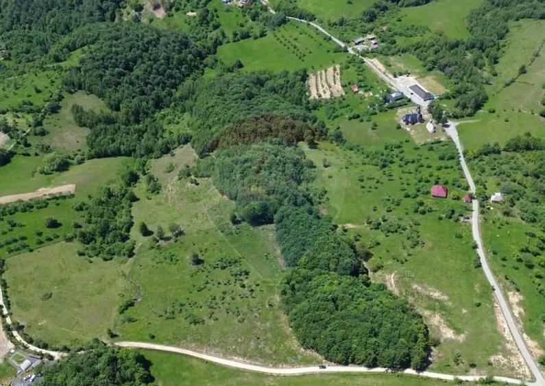 Teren intravilan de vanzare 12,700mp Codru Butesii / Stra... - 3