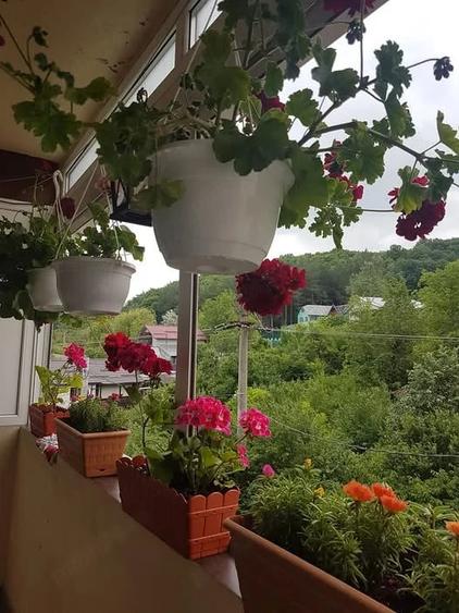 Apartament cu 3 camere decomandat în Sărata