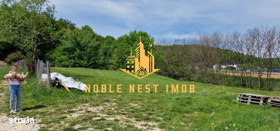 Teren extravilan 2200 mp - Budeasa Mica, Arges - 4