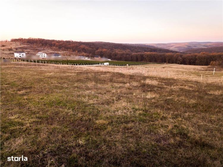 RECO Teren intravilan in Saldabagiu de Munte - 7