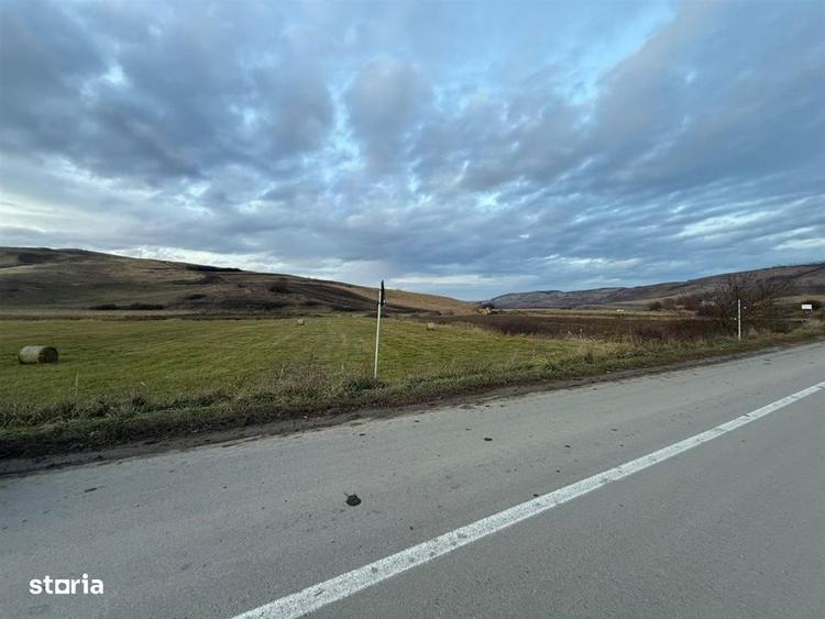 Teren Extravilan I 6000 Mp I Acces la drum | Cojocna - 6