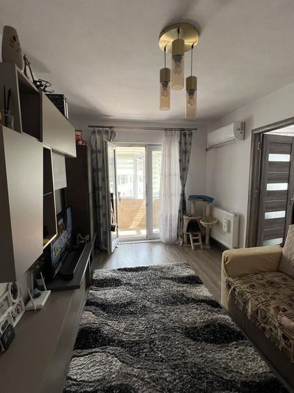 Apartament Brezoi - 5