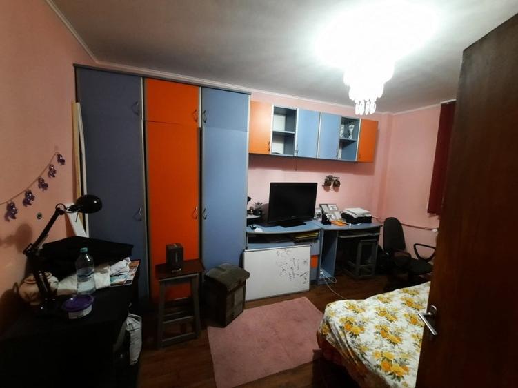 Lacul Tei, stradal, aproape Parcul Circului - 9