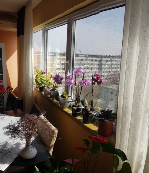 Proaspat amenajat, utilat su mobilat - 18