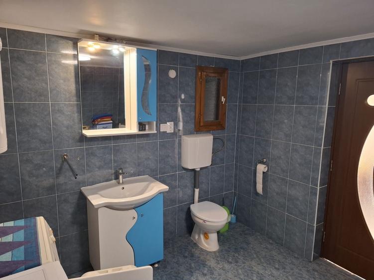 Vand casa in jud. Caras-Severin - 4