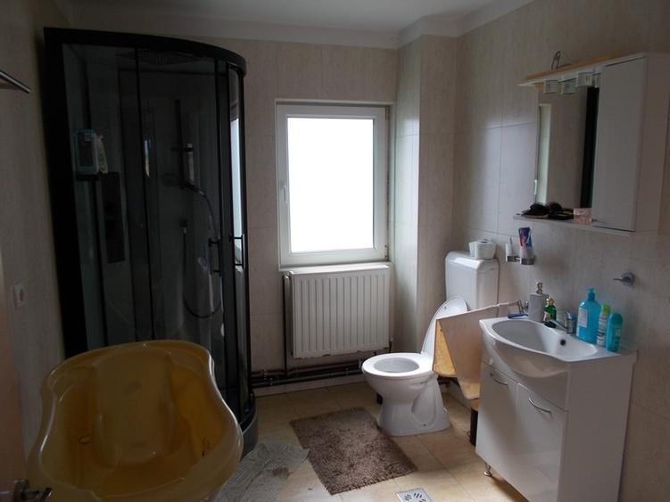 Vila, Becicherecu Mic, P+M, 4 camere, 166mp, teren 1055mp, mobilata si utilata - 4