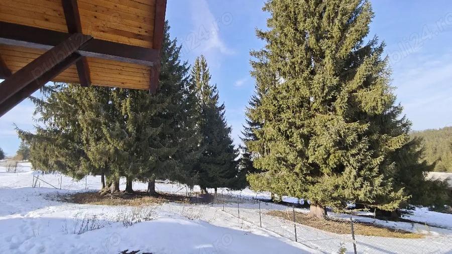 Cabana 150mp Piatra Fantanele - 3