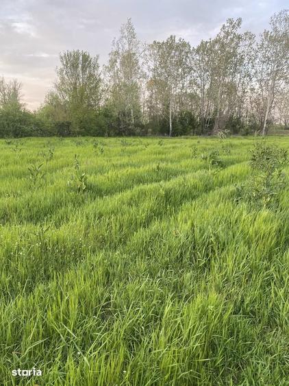 Teren -parcelabil Terenul se parceleaza- Leamna de Jos 2750 mp - 5