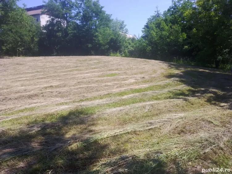Teren de 4000 mp, în Copăceni