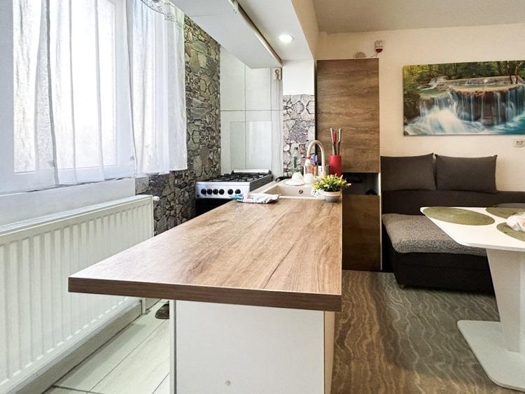 Apartament la pret de garsoniera cu gradina de 35mp + parcare - 4
