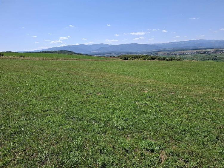 Teren de 3800 mp, în Bungard