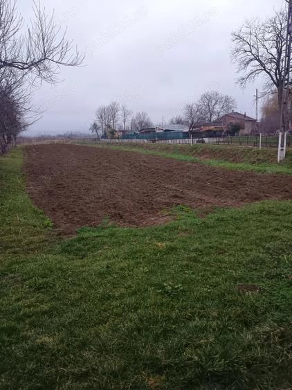 Casă cu 2 camere cu Teren 1950 Mp în Gothatea