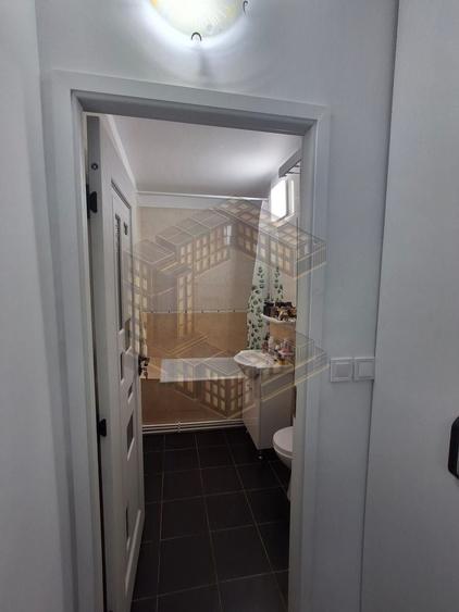 Apartament cu 2 camere semidecomandat, mobilat în Iosefin