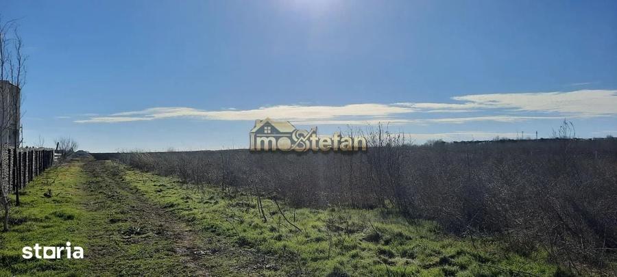 Teren de 7495 mp, în Limanu