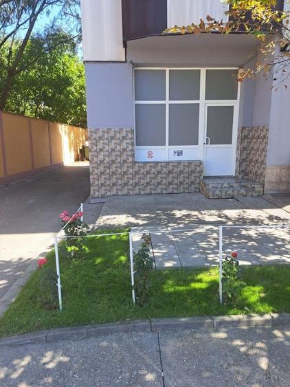 Spațiu comercial, de 59 mp, în Buda