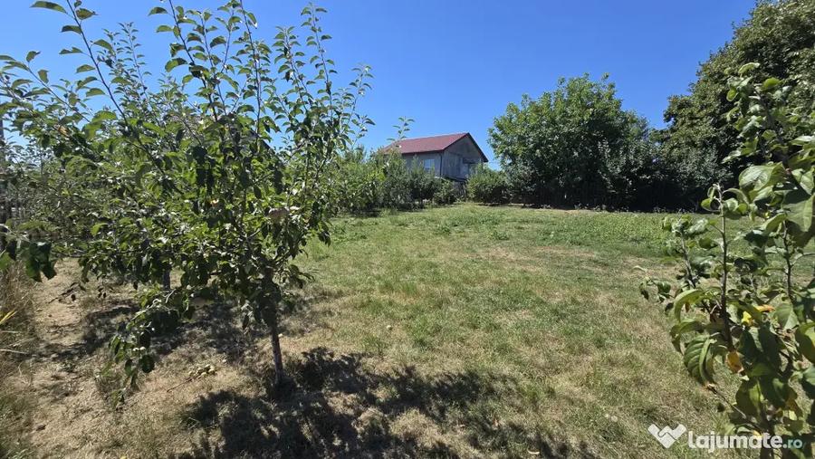 Teren de 600 mp, în Valea Ursului