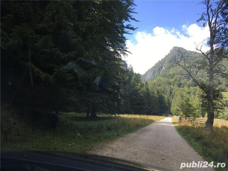 Teren de 3825 mp, în Vama Buzăului